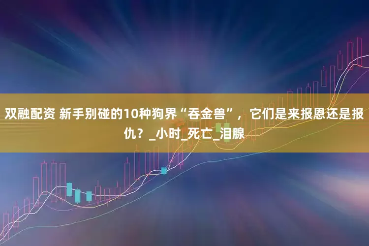 双融配资 新手别碰的10种狗界“吞金兽”，它们是来报恩还是报仇？_小时_死亡_泪腺