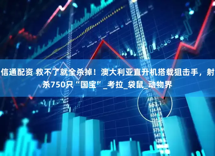 信通配资 救不了就全杀掉！澳大利亚直升机搭载狙击手，射杀750只“国宝”_考拉_袋鼠_动物界