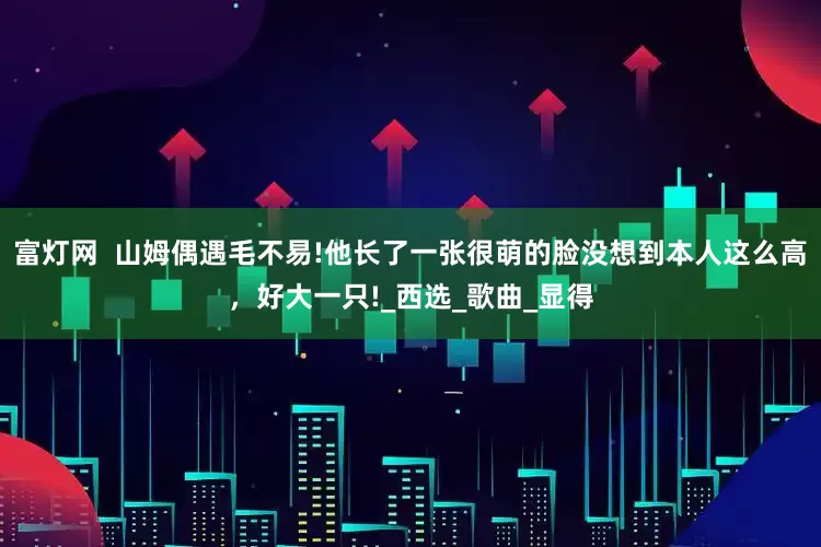 富灯网  山姆偶遇毛不易!他长了一张很萌的脸没想到本人这么高，好大一只!_西选_歌曲_显得