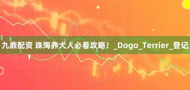 九鼎配资 珠海养犬人必看攻略！_Dogo_Terrier_登记