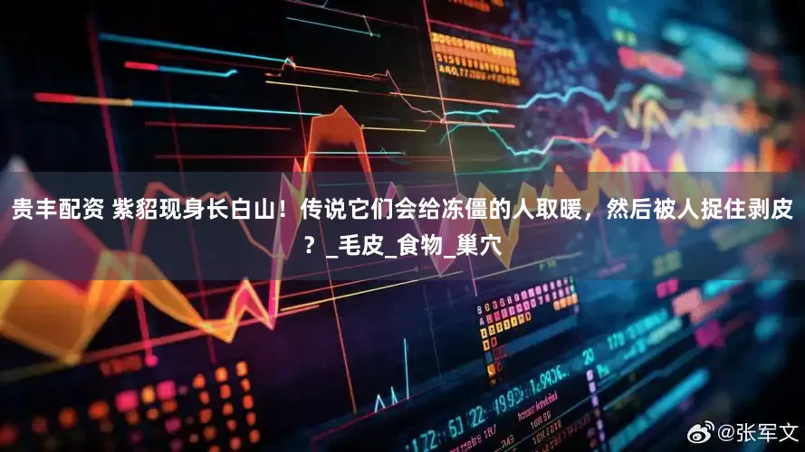 贵丰配资 紫貂现身长白山！传说它们会给冻僵的人取暖，然后被人捉住剥皮？_毛皮_食物_巢穴