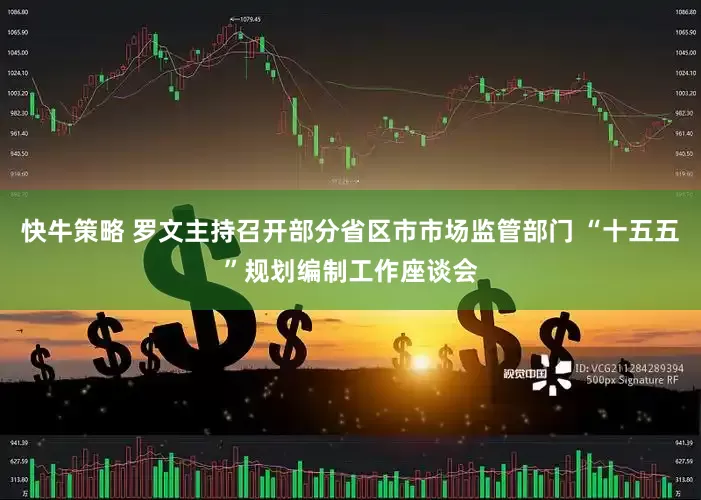 快牛策略 罗文主持召开部分省区市市场监管部门 “十五五”规划编制工作座谈会