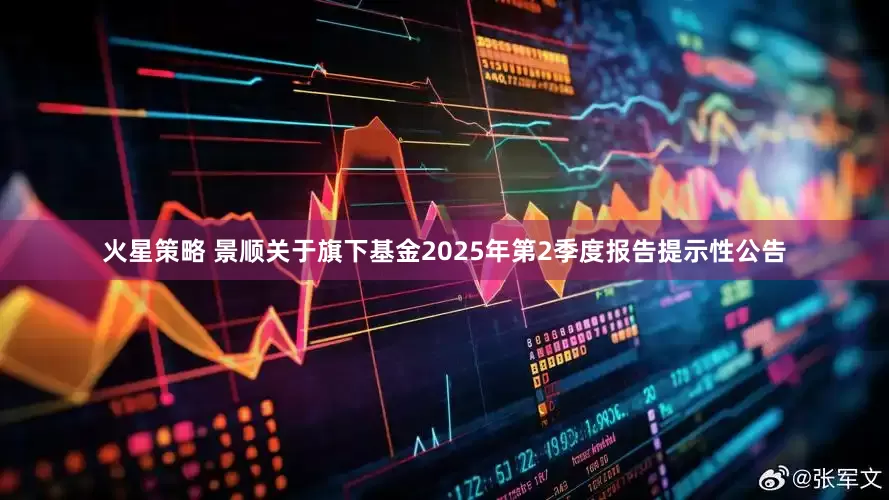 火星策略 景顺关于旗下基金2025年第2季度报告提示性公告