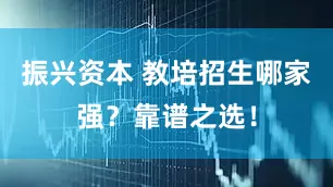 振兴资本 教培招生哪家强？靠谱之选！