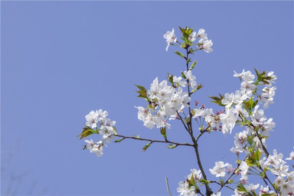 捷元网 12星座最新一周运势解析10.13-10.19